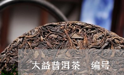 大益普洱茶 编号/2023041254946